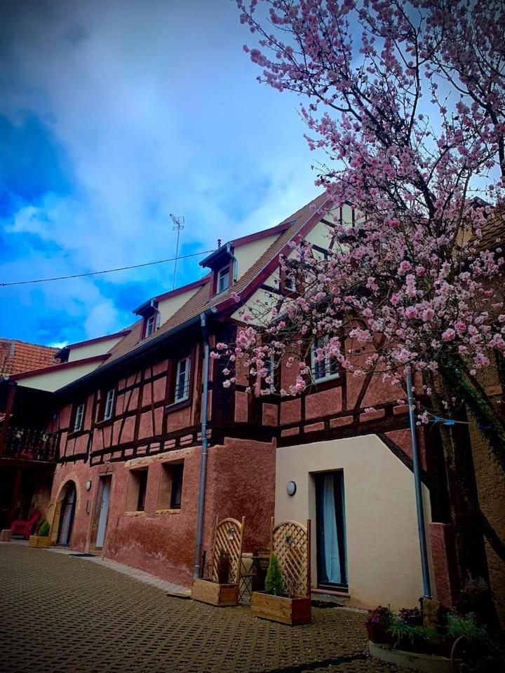 Le Clocher " Sous Les Combles" Parking Gratuit Beblenheim Buitenkant foto
