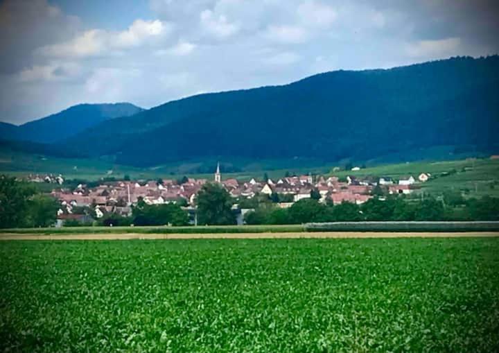 Le Clocher " Sous Les Combles" Parking Gratuit Beblenheim Buitenkant foto