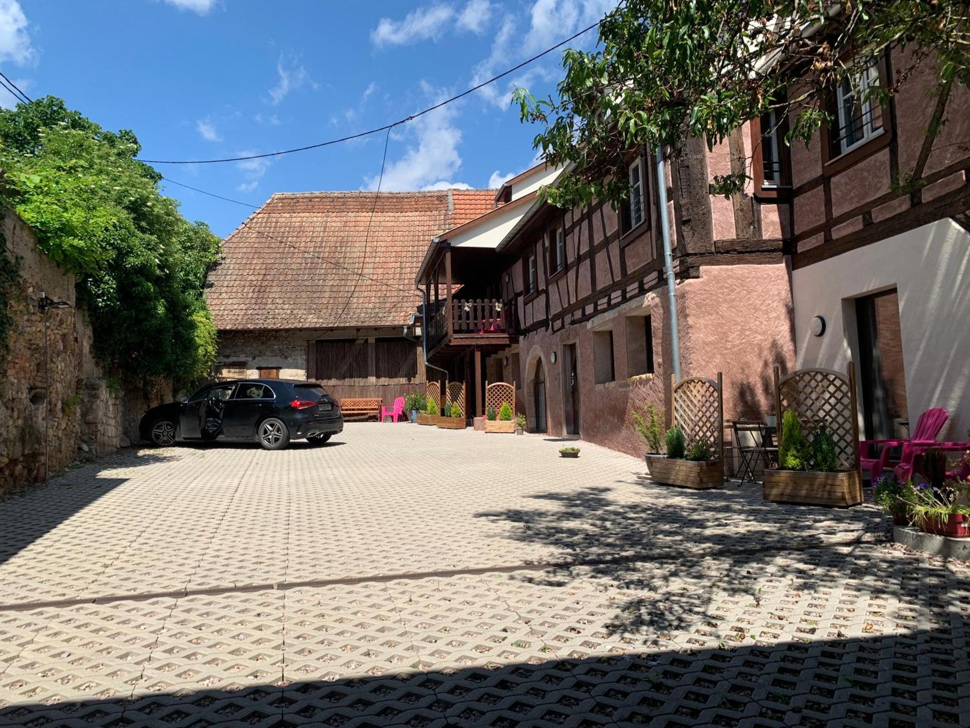 Le Clocher " Sous Les Combles" Parking Gratuit Beblenheim Buitenkant foto